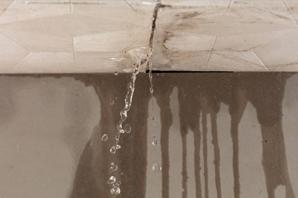 Professional Flood Damage Cleanup technician working in Lexington, IL